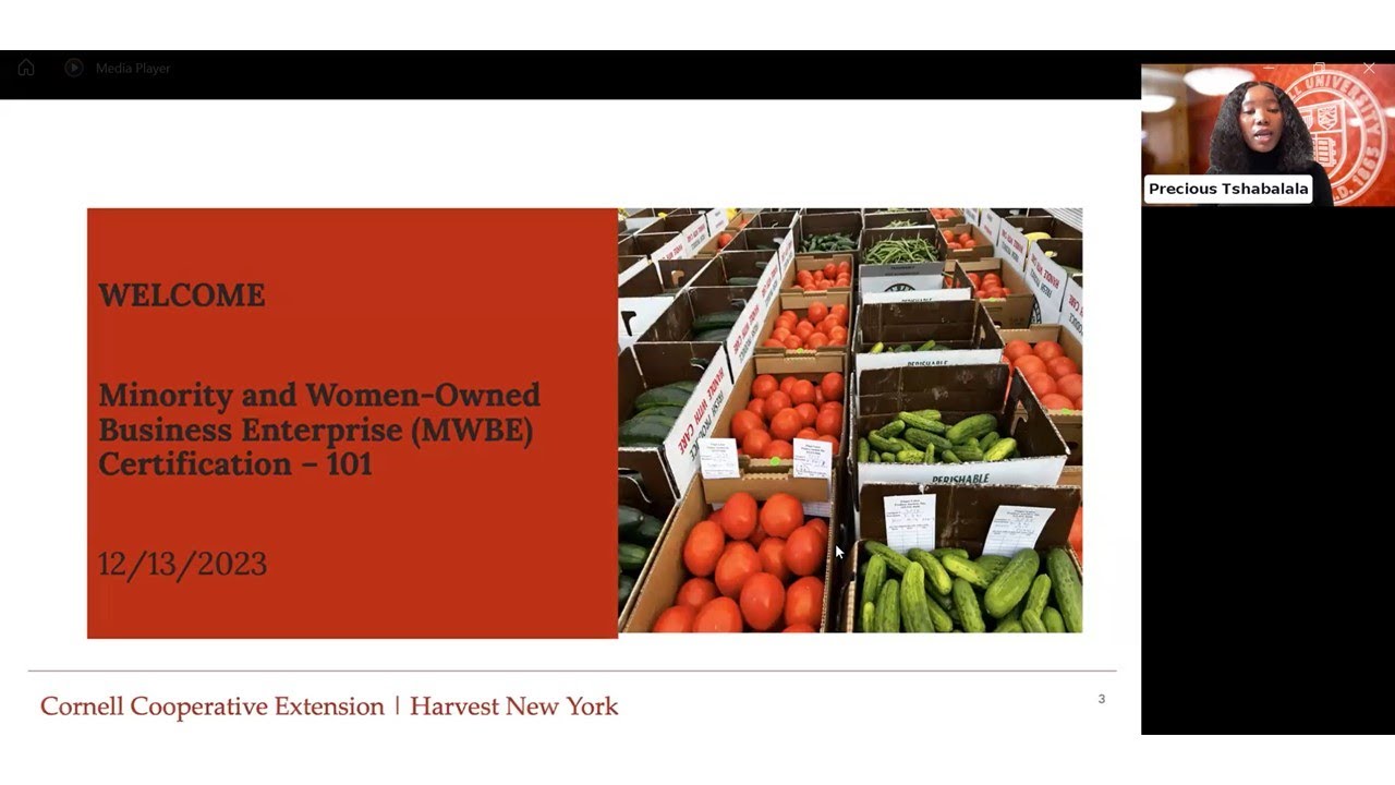 Minority and Women-Owned Business Enterprise (MWBE) Webinar