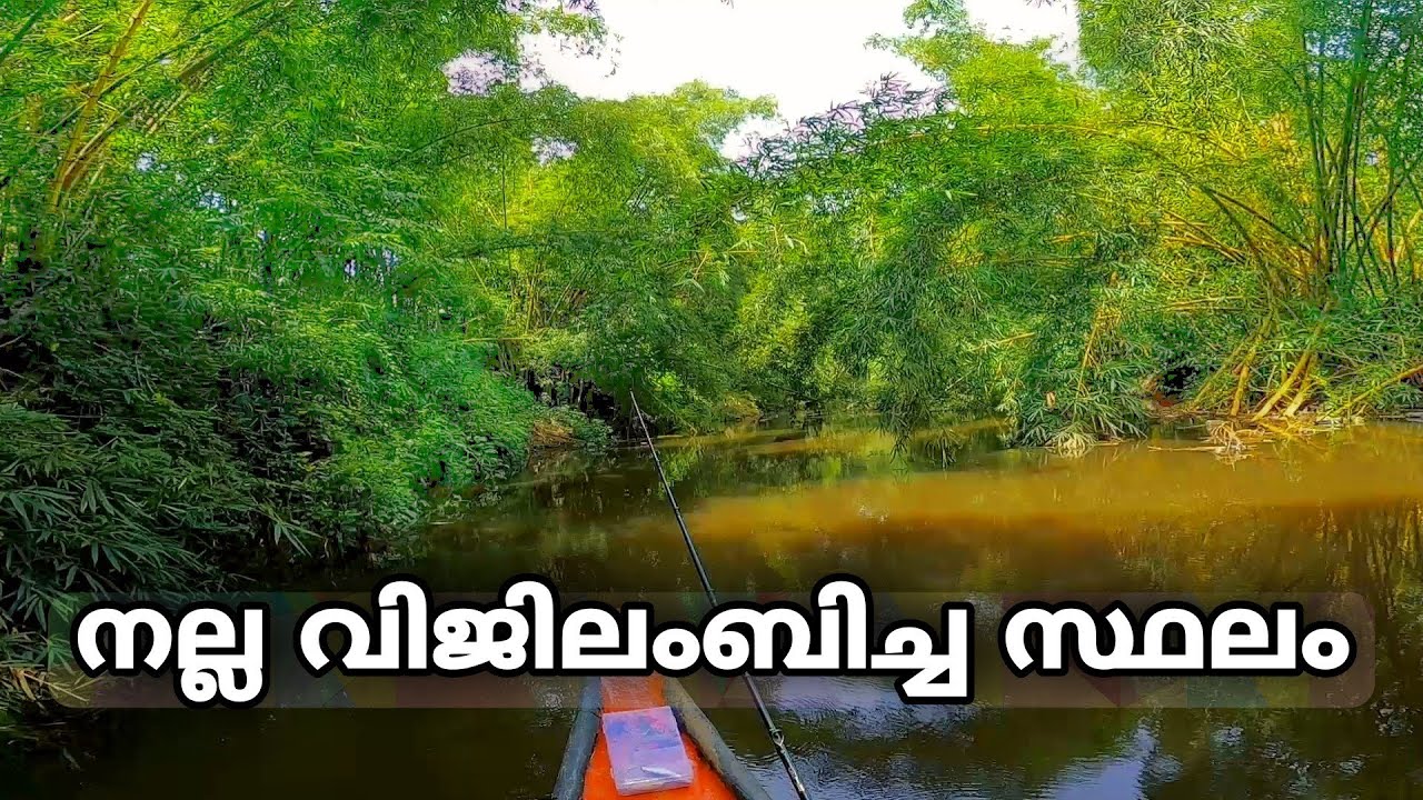ചേറുമീനെ തപ്പി കാട്ടിലേക്ക്|@MukkuvanZ