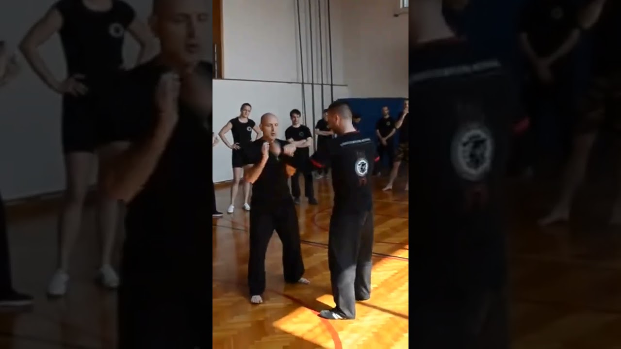 Thumb-Up? Pukul!!! Slovenia Pukulan Workshop