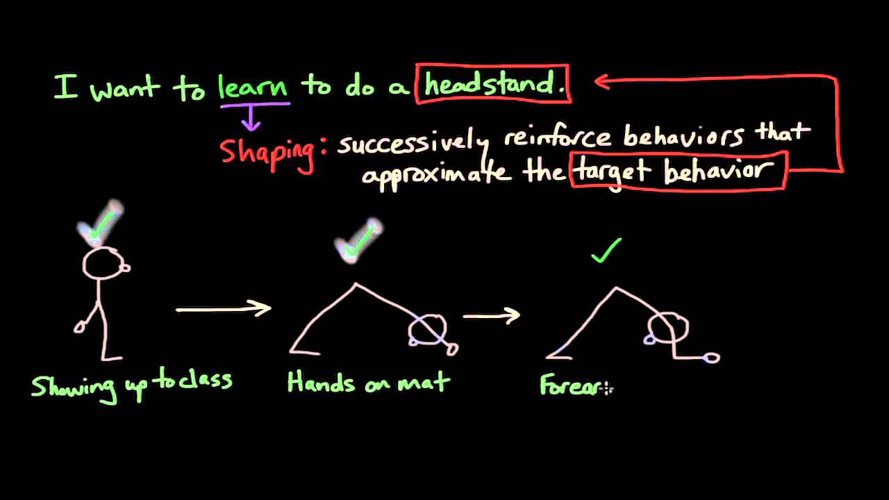 Operant Conditioning: Shaping