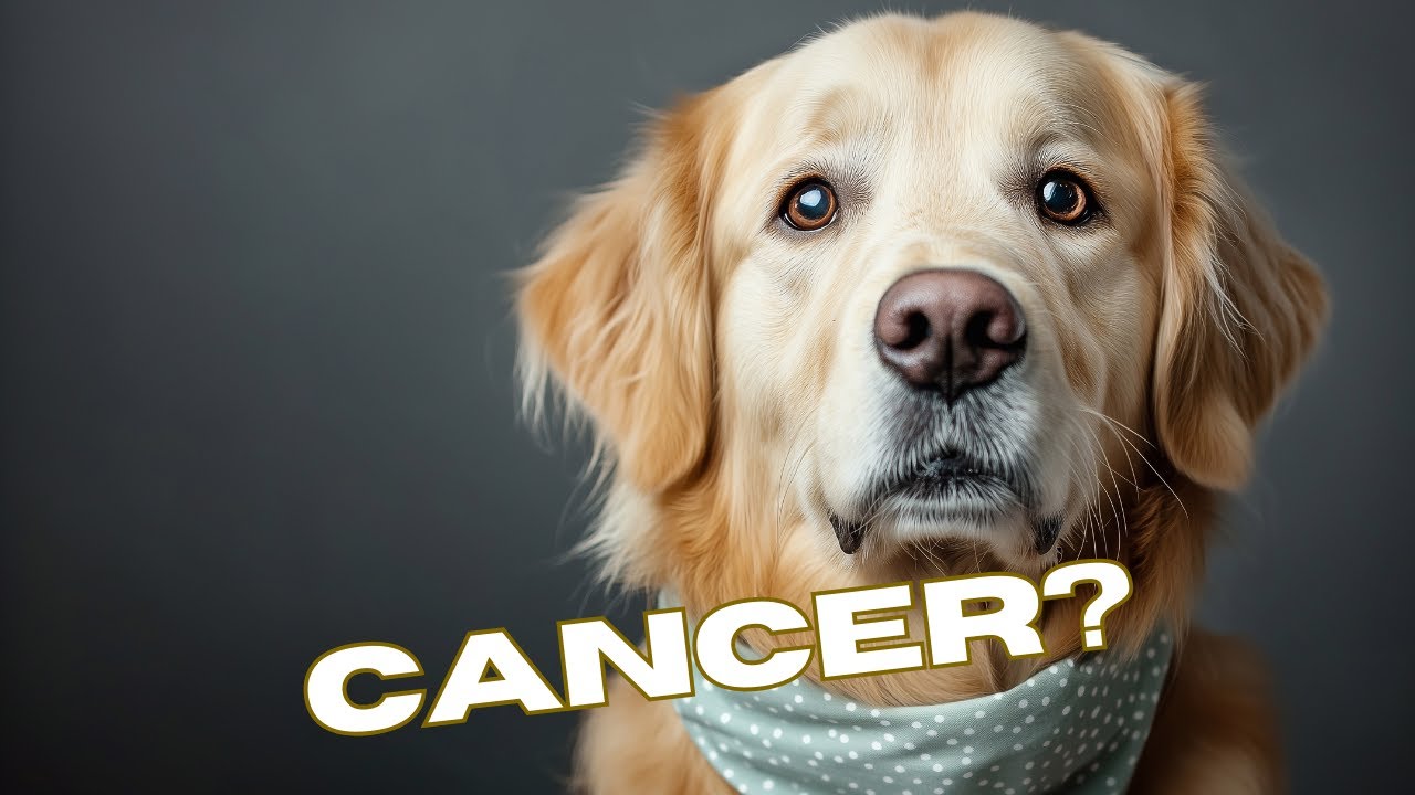 Ivermectin doses to treat cancer in dogs