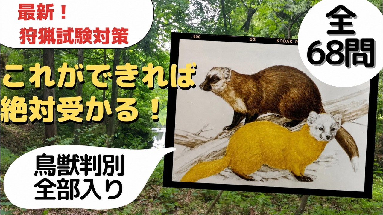 【狩猟試験】最新R7年版！全68種類！鳥獣判別の対策問題まとめました！