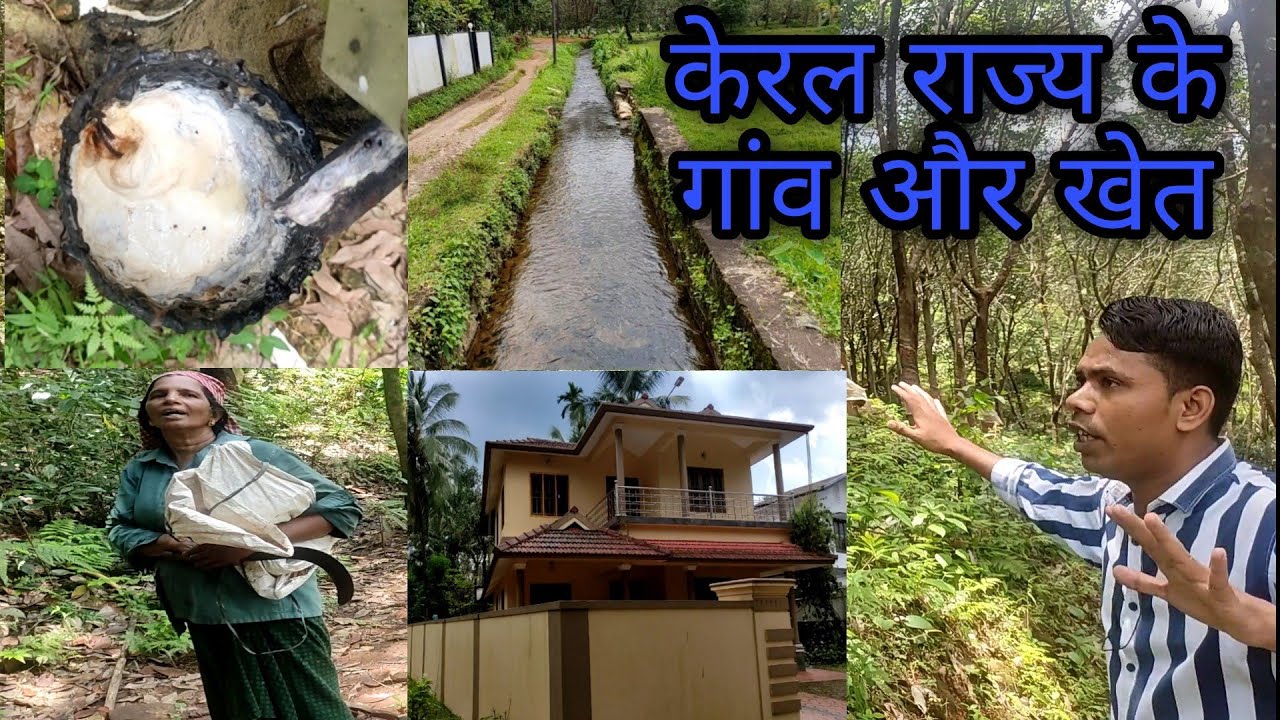 केरल राज्य के ,गांव ,घर, खेत, कैसे होते हैं देखिए ||