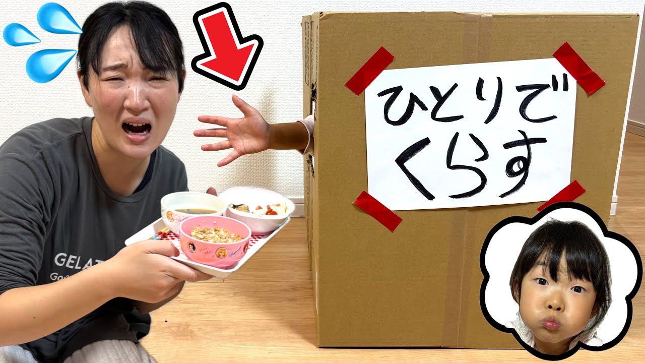 ここちゃんがダンボールの中から出てきてくれません…本当に1人で暮らせるの？？？？？😭✨【実話再現】