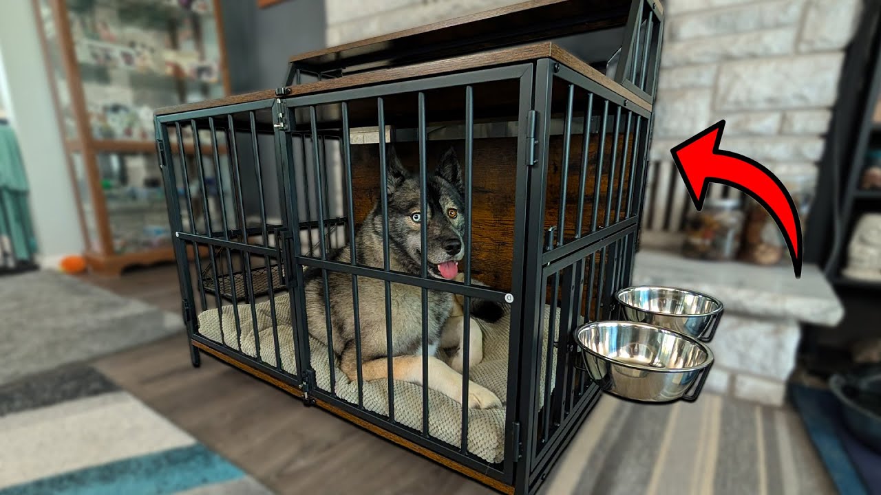Is a Furniture Dog Crate Right For Your Pup? My Honest Thoughts!