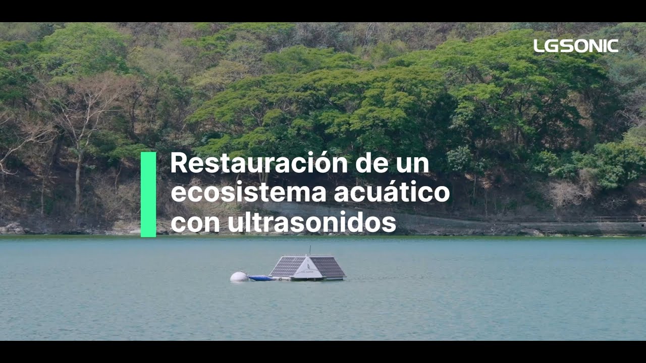 Restauración de un ecosistema acuático con ultrasonidos