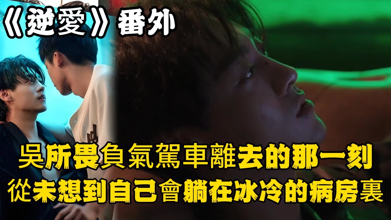 《逆愛》：番外！吳所畏負氣駕車離去的那一刻，從未想到自己會躺在冰冷的病房裏。#田栩宁 #梓渝 #吴所畏 #池骋 #逆爱 #revenged