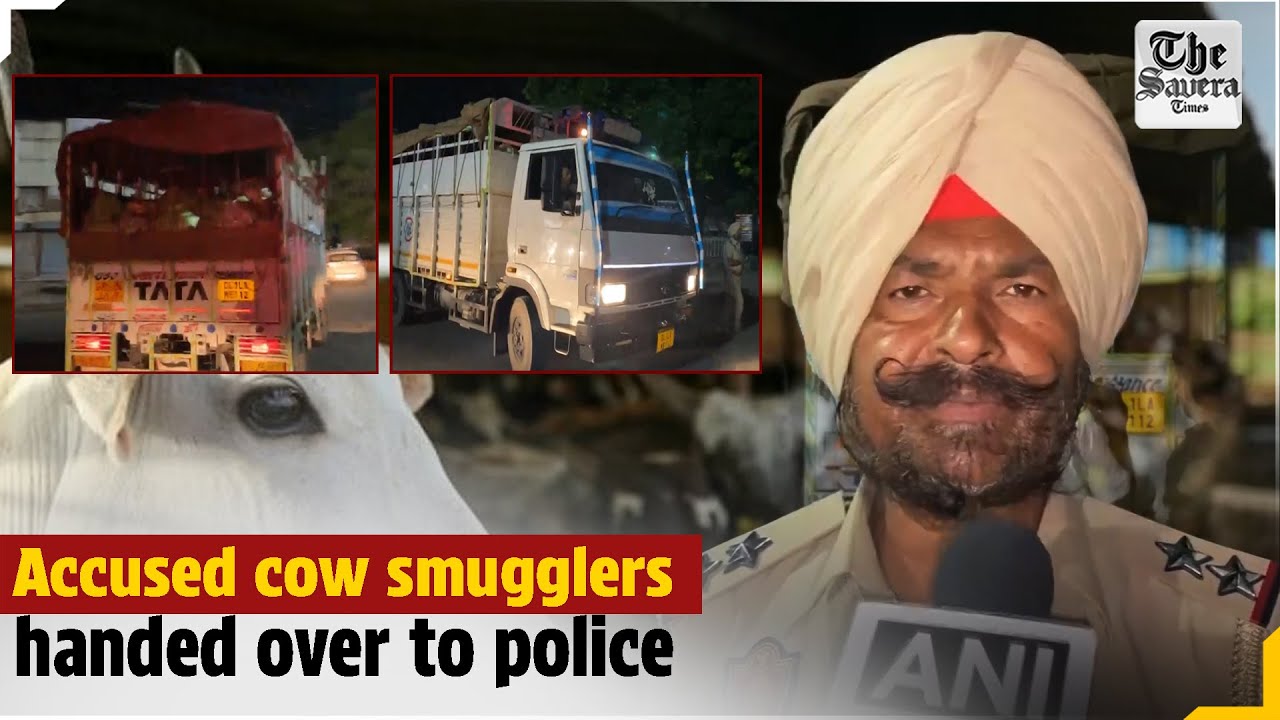 Accused cow smugglers handed over to police