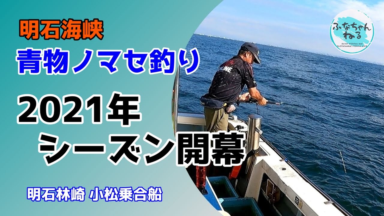 【青物ノマセ釣り】シーズン開幕 パワフルなハマチを釣りまくれ