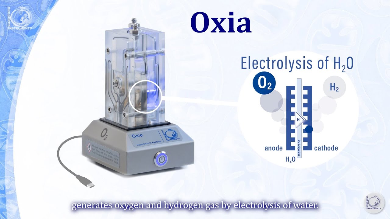 Oxia - the O2 regime controller for HyperOxia and HypOxia in the O2k