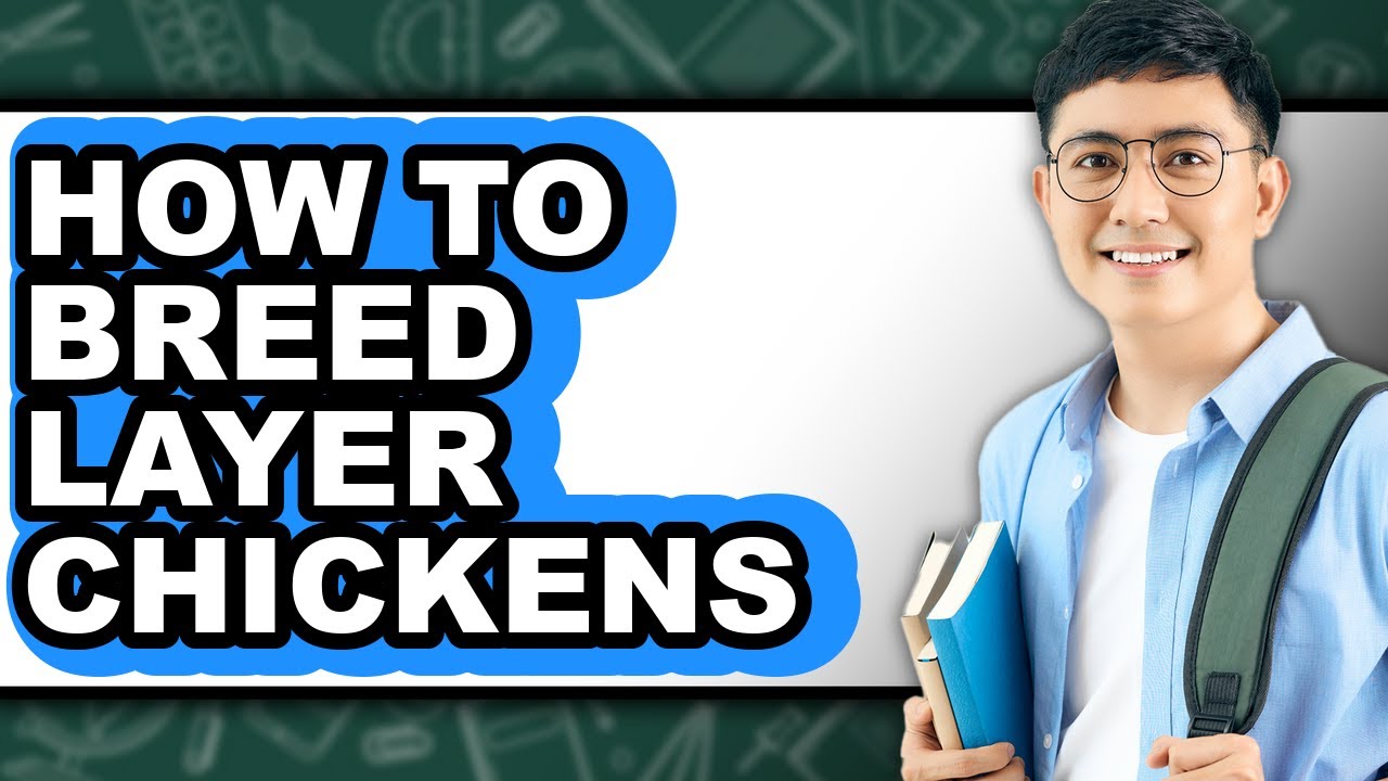 How To Breed Layer Chickens (Easy Method)
