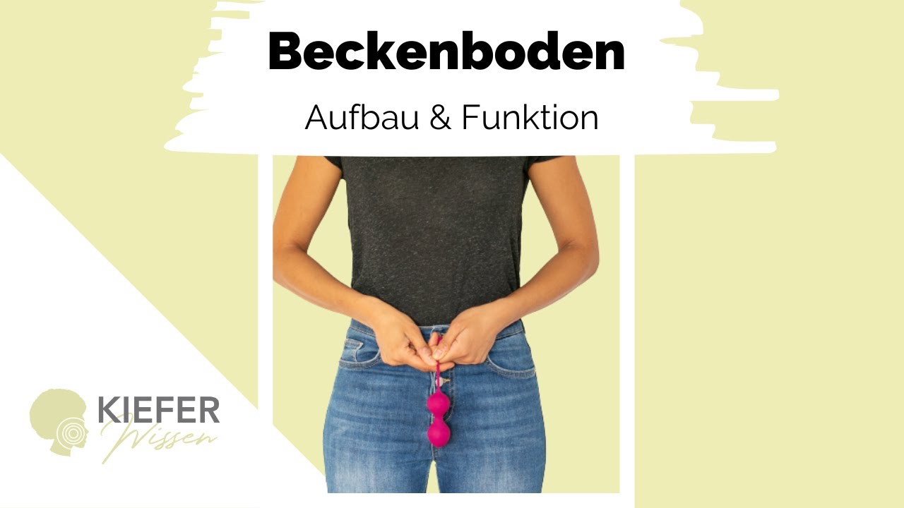 Der Beckenboden - Aufbau & Funktion