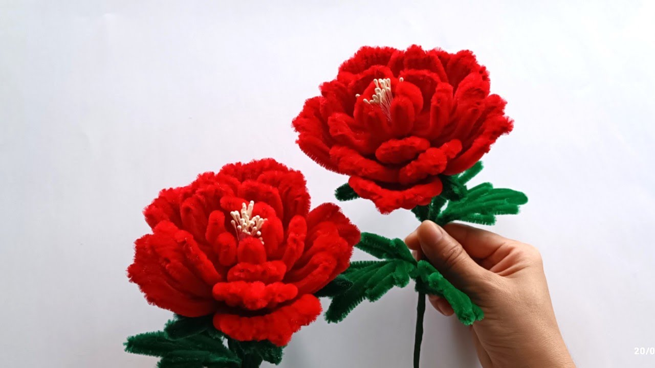 Cách làm hoa Mẫu Đơn bằng kẽm nhung - How to make peonies with a pipe cleaner