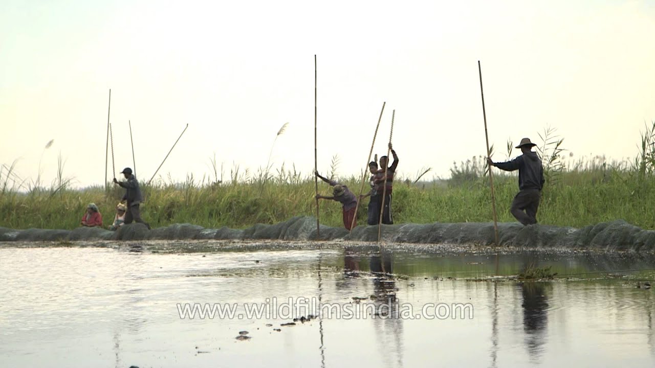 Indigenous people of Loktak Lake, Manipur