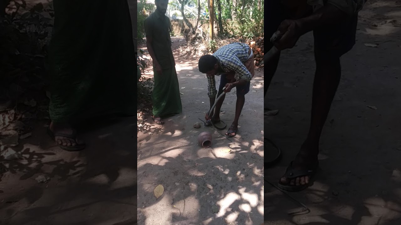 kari moorkhan pambine kudathileku aakunnu
