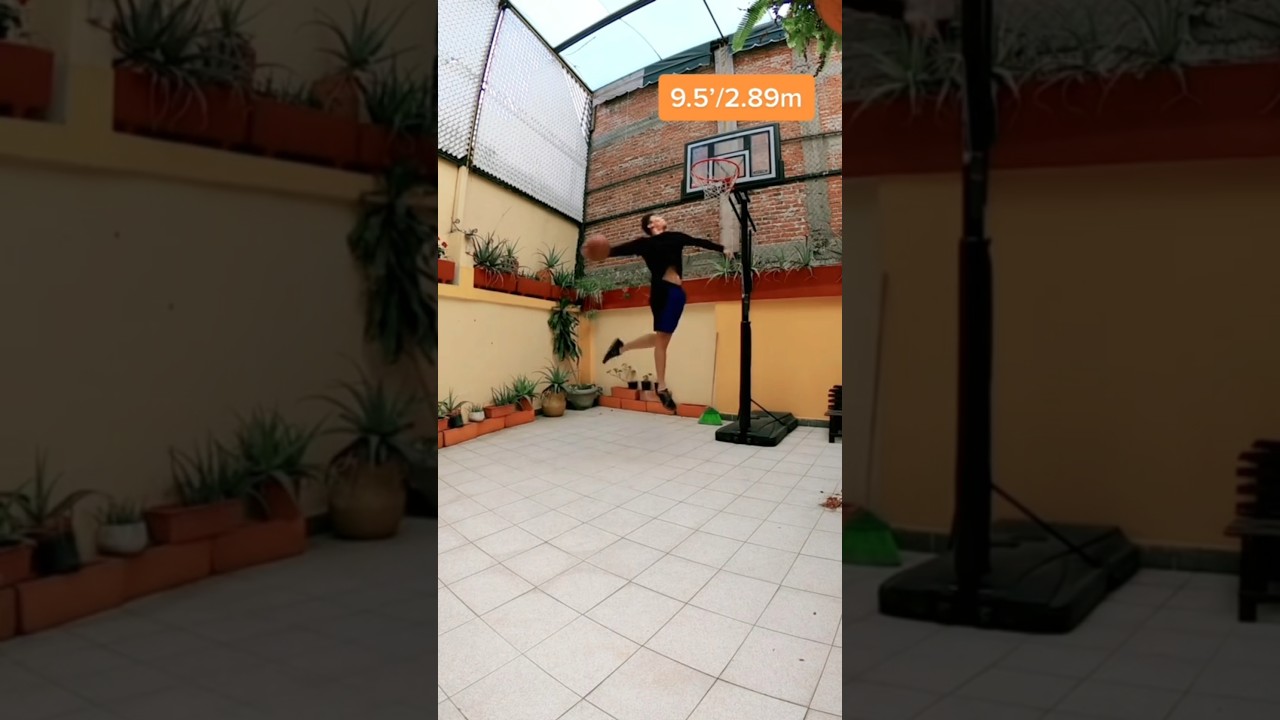 Dunks en TODAS las alturas de la canasta 🏀 #baloncesto #basquetbol #nbaplayoffs #dunking #basket