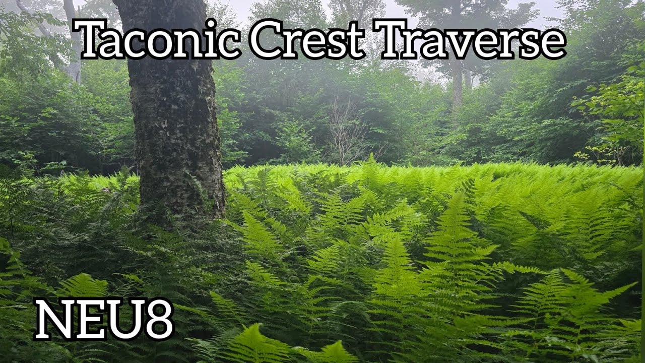 Taconic Crest Traverse NEU8