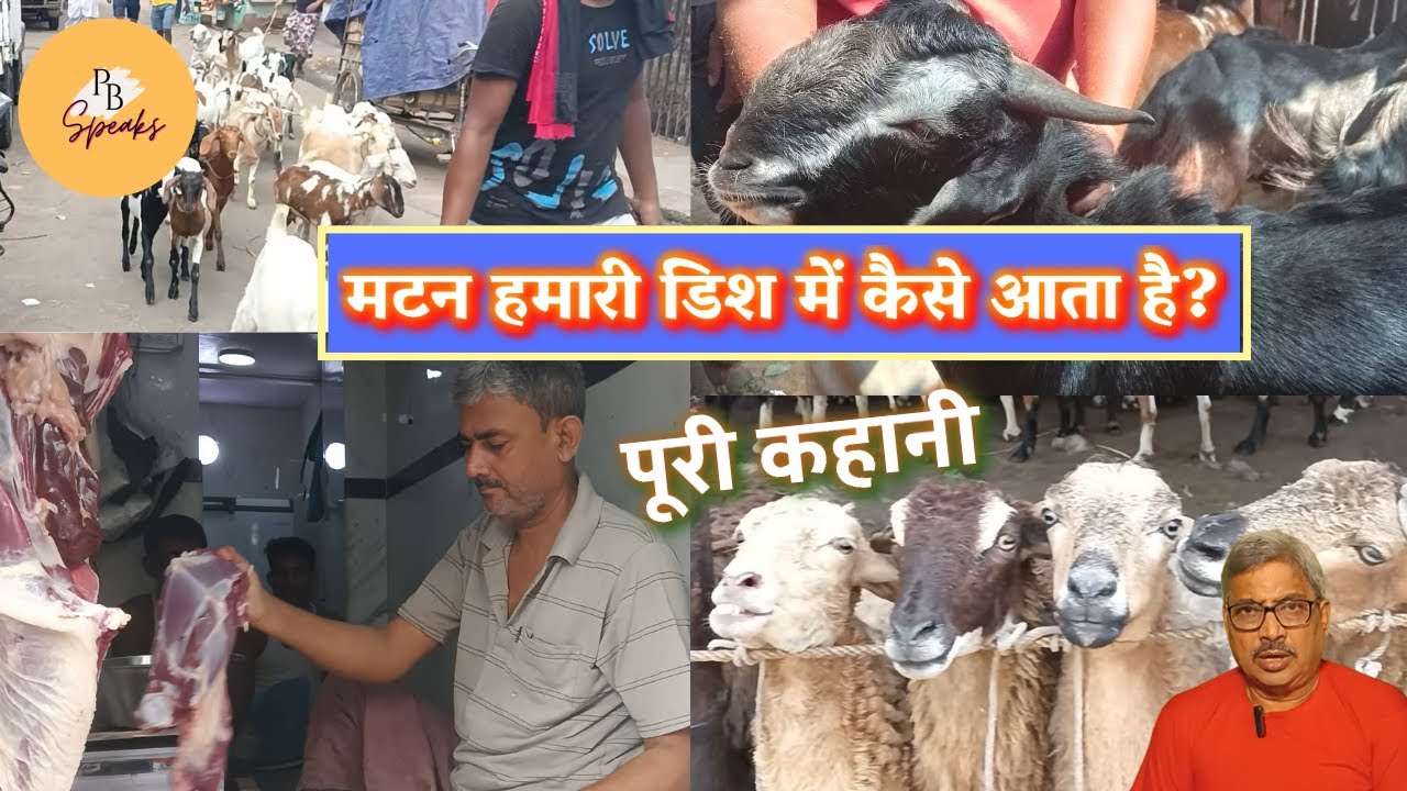 Kolkata Khidirpur Bakra Mandi l Meat Price In India l Mutton Shop Kahani l PB Speaks