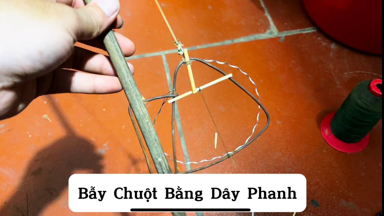 Cách Làm Bẫy Chuột Bằng Dây Phanh Xe Đạp