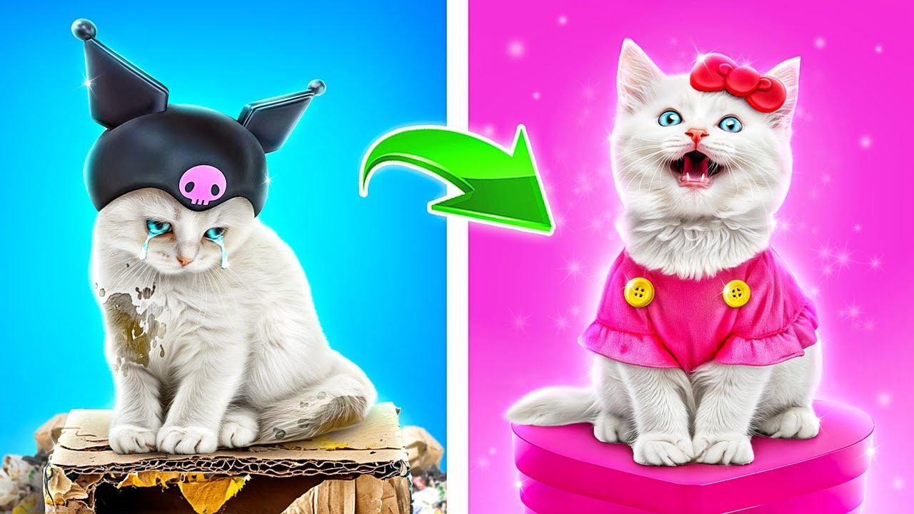 Hello Kitty спасла бездомного котёнка! Лайфхаки для владельцев животных