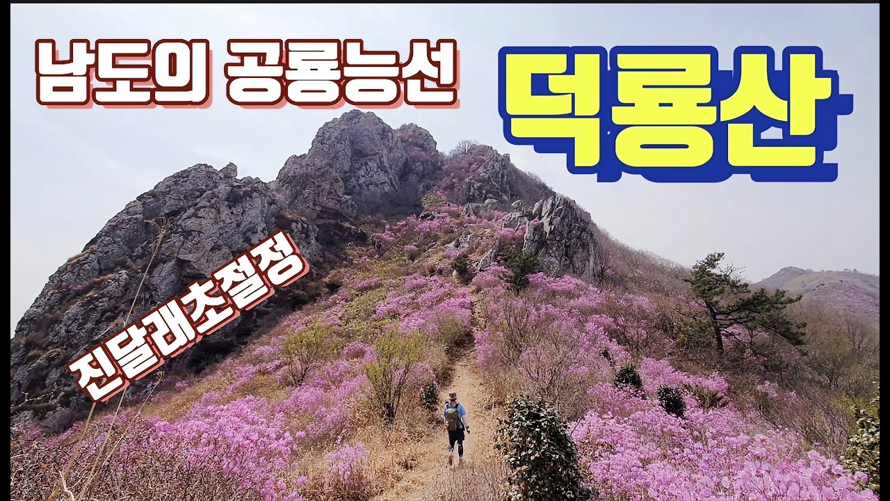덕룡산 / 진달래초절정 / 남도의 공룡능선 / 남성미 넘치는 암릉과 진달래