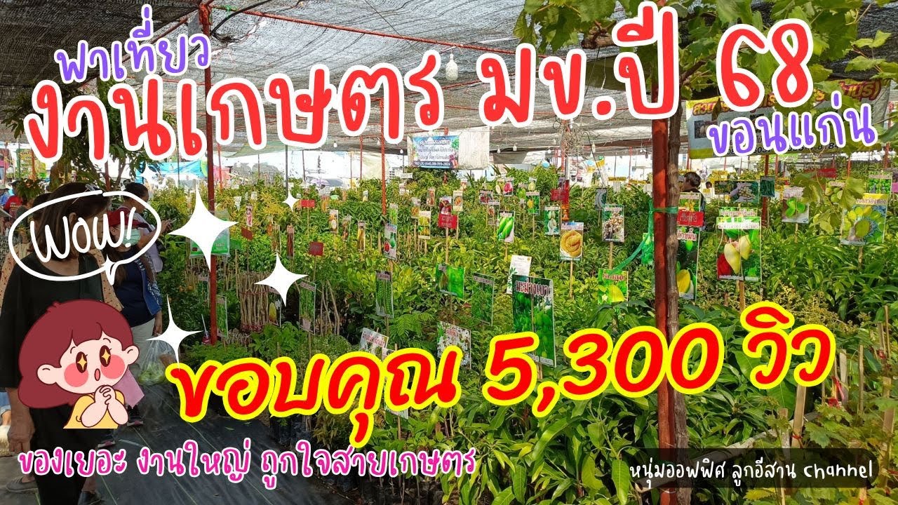 พาเที่ยวงานเกษตร ม.ขอนแก่น ปี 68 ของเยอะ งานใหญ่ ถูกใจ สายเกษตร | หนุ่มออฟฟิศพาเที่ยว