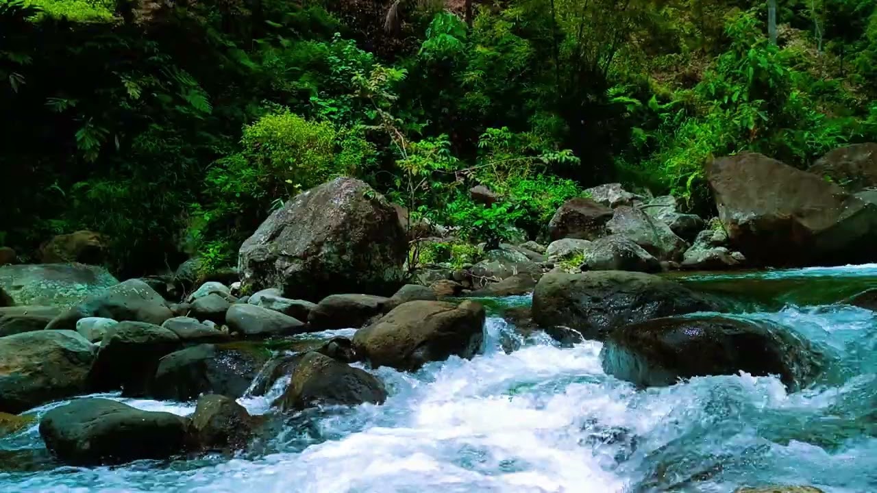 HD Tranquil ASMR River Soundscape for Meditation, Focus and Restful Nights