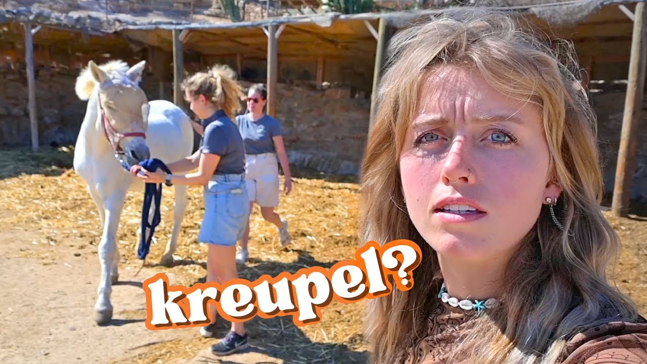 Kunnen wij deze Geredde Ex-Dekhengst helpen? 🥺