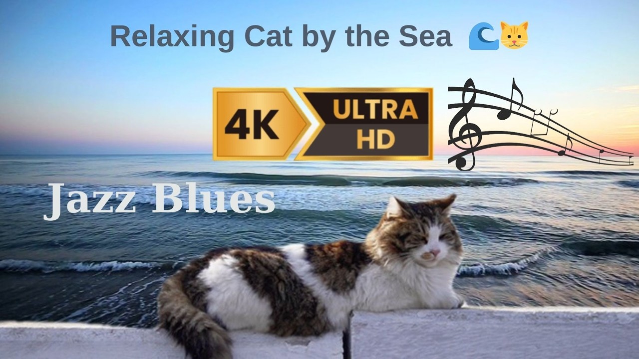 Relaxing Cat by the Sea 🐱🌊 Ocean Waves, Purring & Jazz Blues