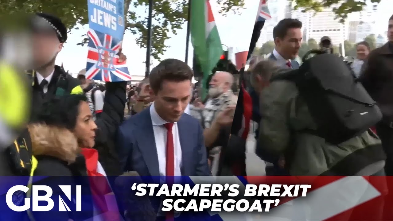 London Pro-Palestine protest turns violent | Alex Armstrong struck, woman arrested over sign