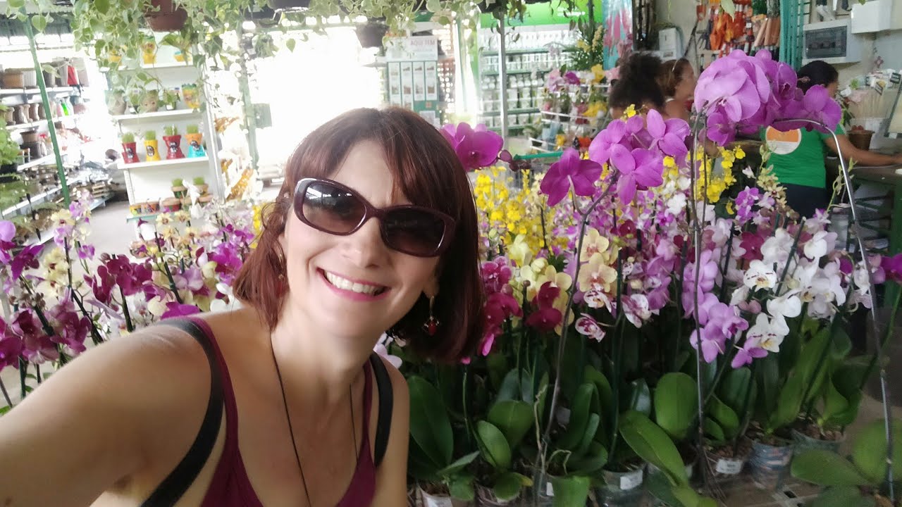 🌺 MINHA VISITA AO HORTO VIVA O VERDE EM ANCHIETA - RJ  O LUGAR CERTO PRA QUEM AMA PLANTAS 🌿🌵🌻🌷