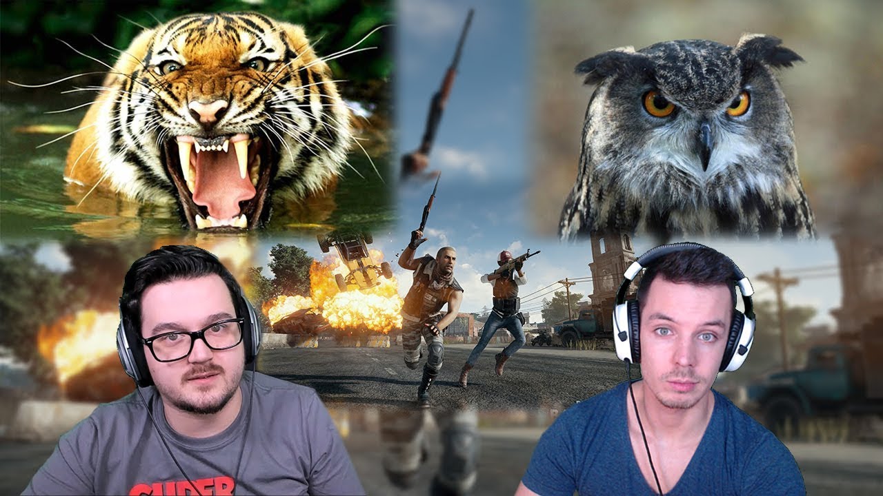 🐯🦉DUO A TIGRISSEL #HIGHLIGHTS