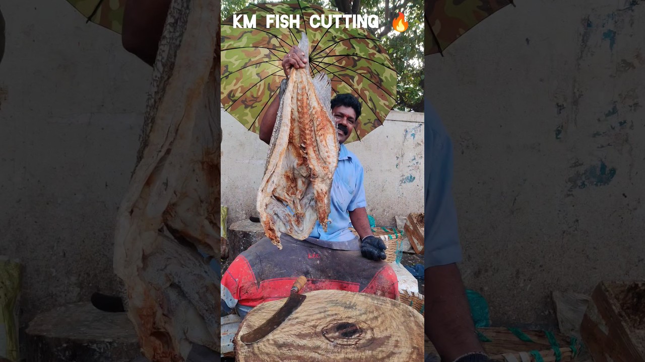 KASIMEDU 🔥 SMILE SEKAR DRY FISH CUTTING VIDEO #kasimeduselvam #bigfishcutting #fishcuttingselvam