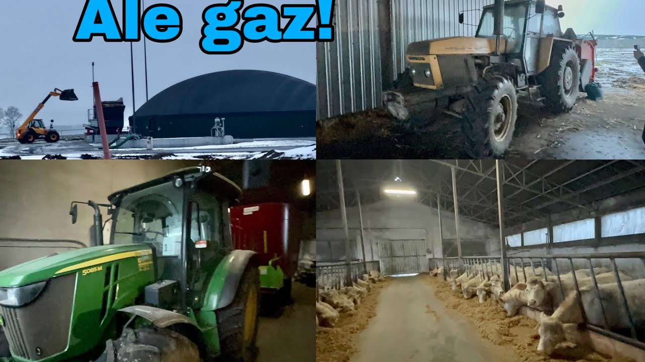 #657- Hodowla bydła Charolaise/ Własna biogazownia! Nic się nie zmarnuje! Jak to się kręci?