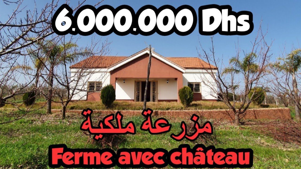 ✨مزرعة ملكية 🏡 للبيع مجهزة بالكامل مع فيلا فاخرة من طراز الراقي عرض لكل من يبحث عن الفخامة و الجمال✨