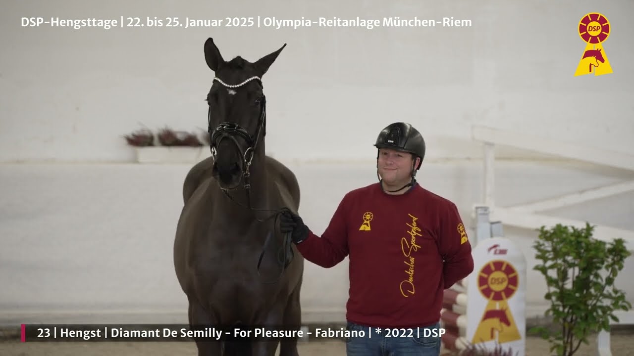 Lot 23 v. Diamant de Semilly / For Pleasure