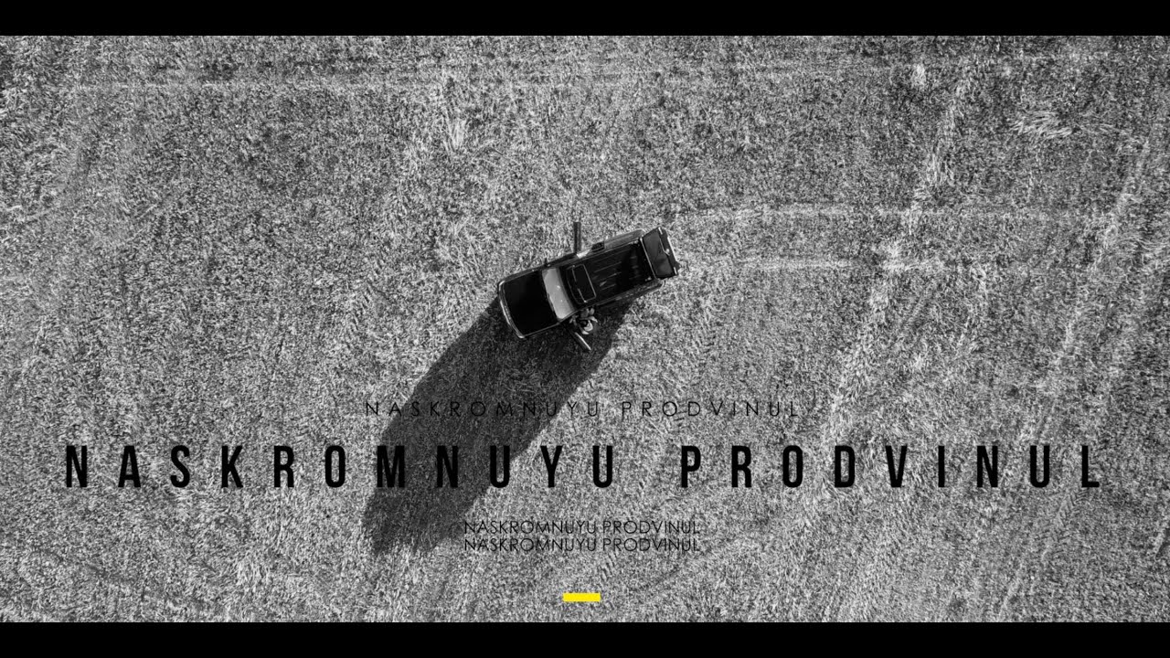 NASKROMNUYU PRODVINUL  Ele Disha