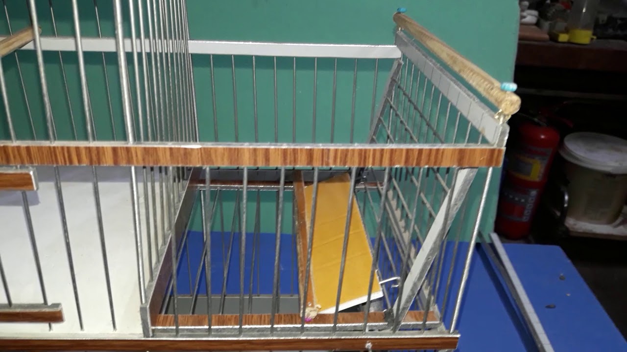OTOMATİK KUŞ KAPANI ( TARTAN KAPAN 2018)