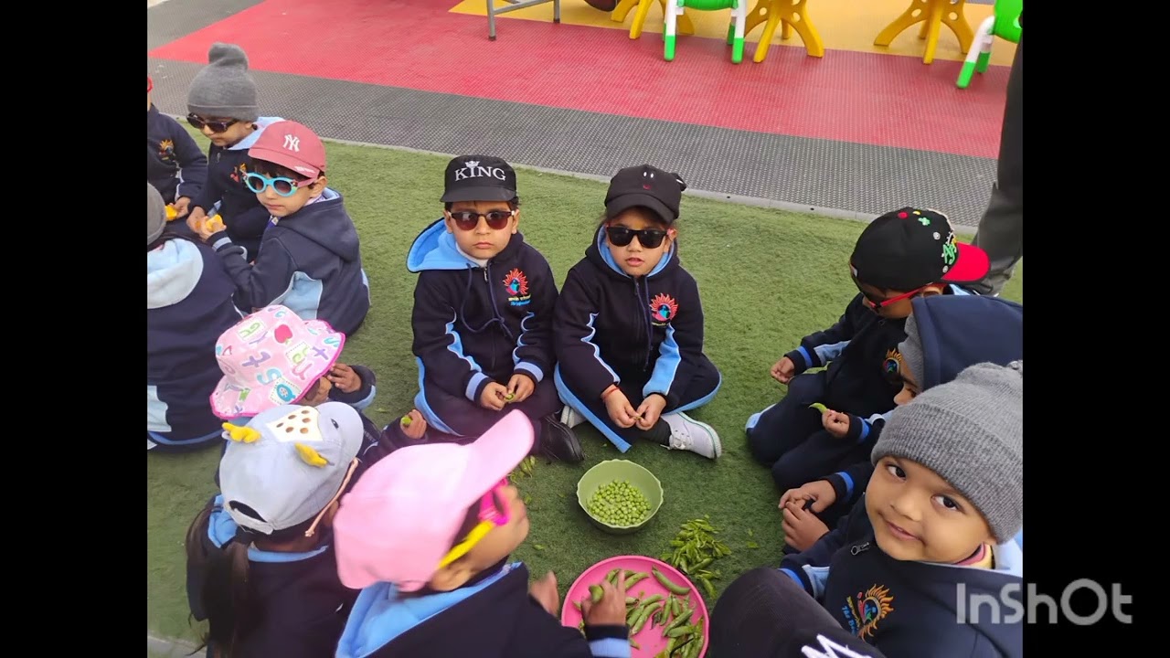Sun Fiesta #Sun bath activity #school 
