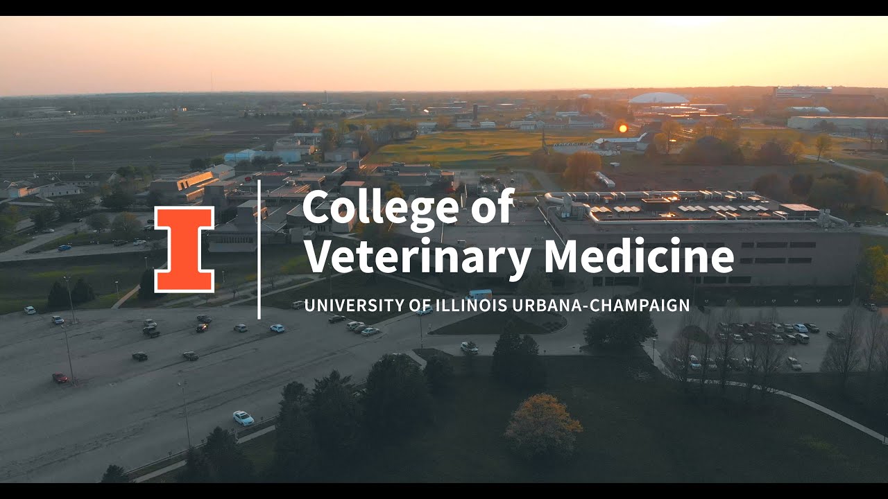 Virtually Visit the University of Illinois College of Veterinary Medicine | Campus Tour with Alyssa