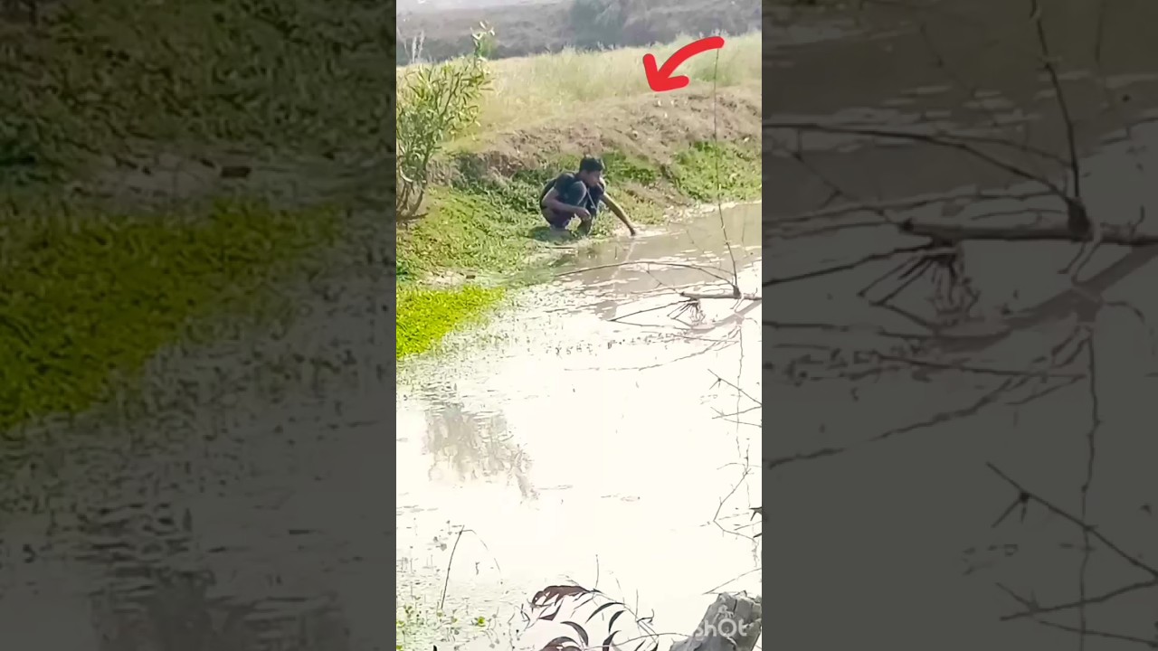কদমতলী বসে আছি নাগর গাঁধাই 