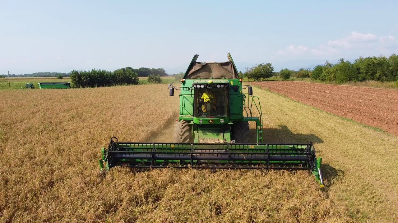 John Deere S560i: Trebbiatura miglio 2020 a Buttrio (UD)