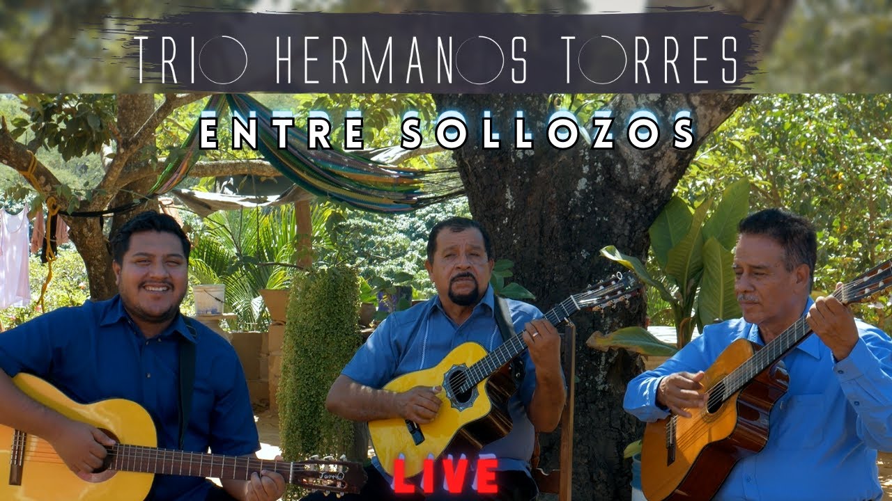 Trio Hermanos Torres - Entre Sollozos (Live)