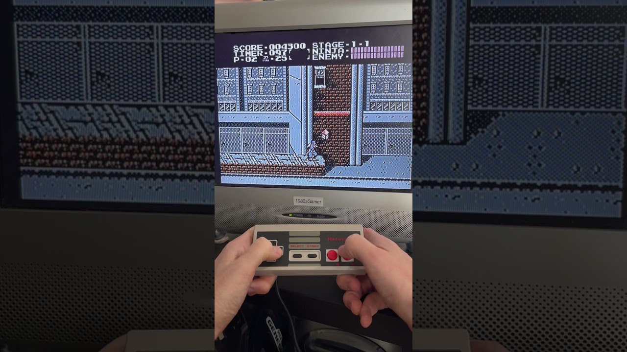 Ninja Gaiden (NES)