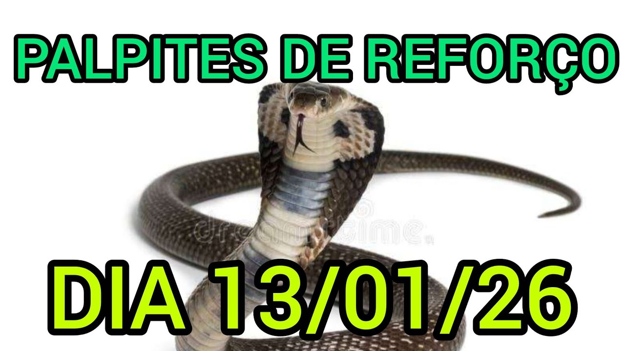 PALPITES DE REFORÇO TARDE DIA 13/01/25 (SORTE A TODOS)