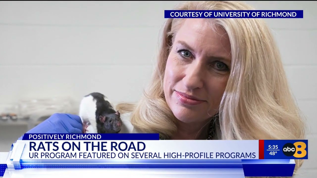 University of Richmond’s ‘driving rats’ featured in international documentary, research expands