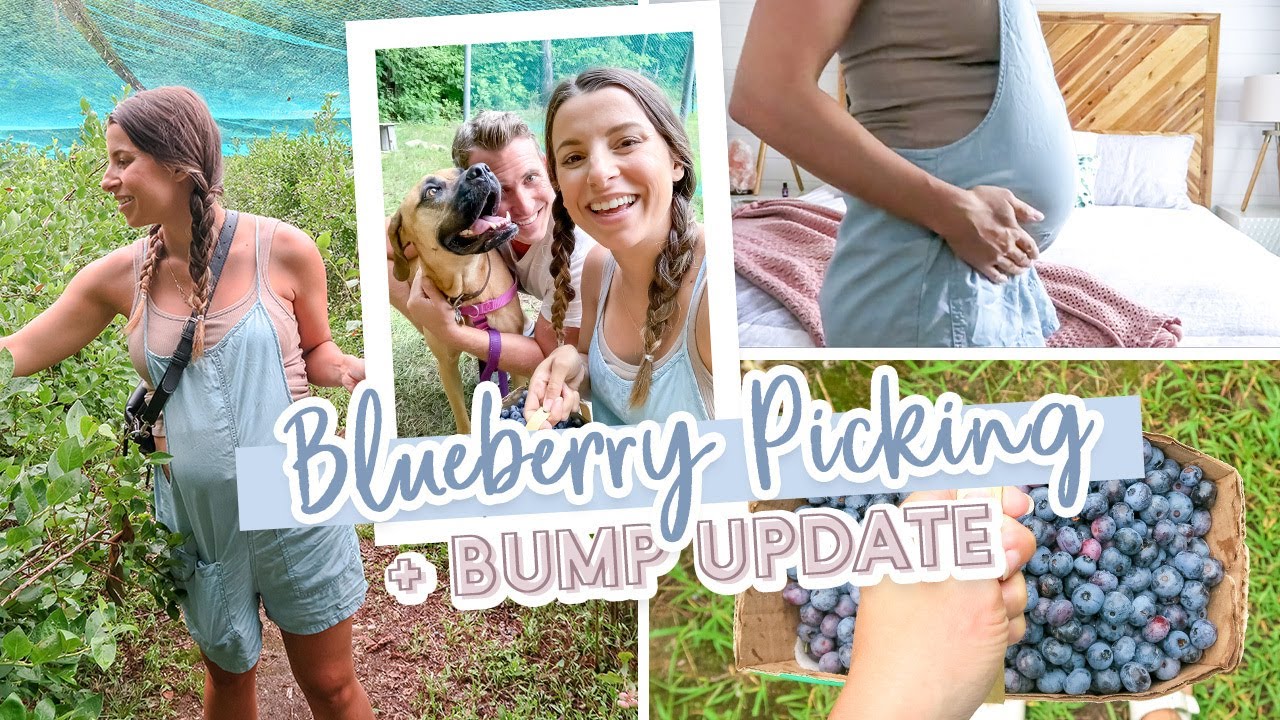 DAY IN THE LIFE VLOG | Blueberry Picking + Bump Update & MORE!