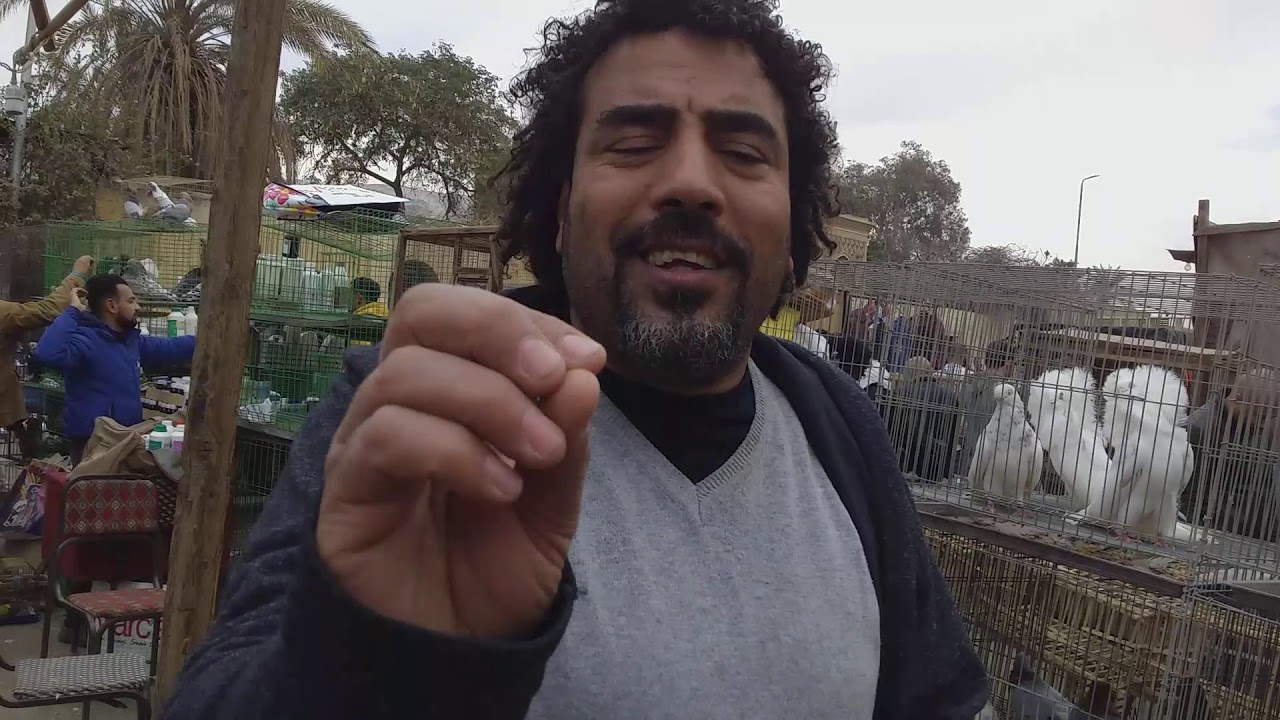 من داخل سلاكات مجاهد البربري في سوق السيدة عائشة ومعلومات مهمه جدا في شراء الحمام