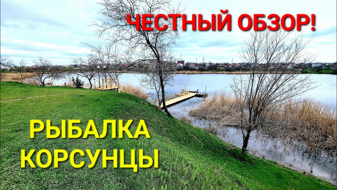 Ставок Корсунцы. Честный отзыв. Рыбалка Одесса. Отдых семьей на природе. Поскот. Карп. #зоотроп