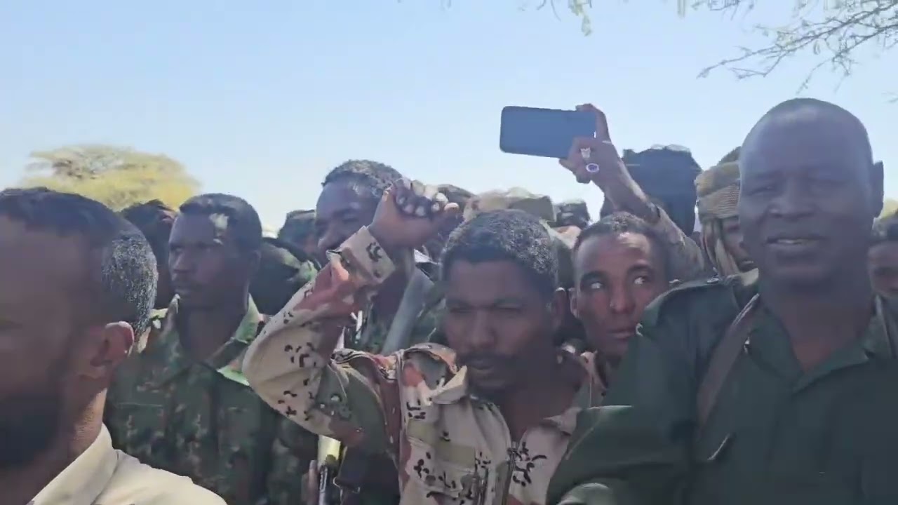 مجلس الصحوة الثوري بقيادة موسى هلال ينفي المشاركة في معركة المالحة ويؤكد وقوفه مع القوات المسلحة